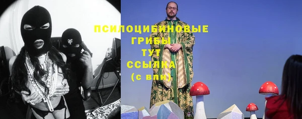 тгк Ладушкин