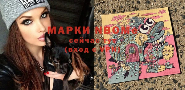 тгк Ладушкин