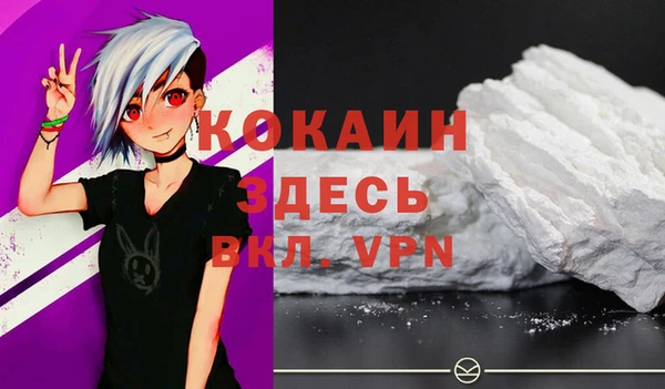 тгк Ладушкин