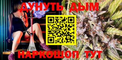 индика Анжеро-Судженск