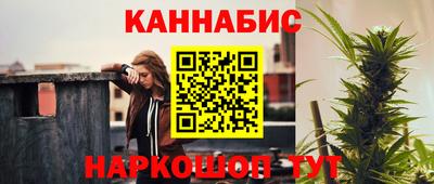 индика Анжеро-Судженск
