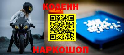 индика Анжеро-Судженск