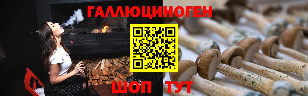 Галлюциногенные грибы ЛСД Евпатория